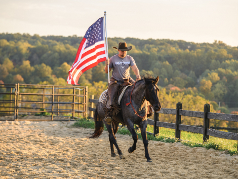 HorseID: 2321197 Drift Away Reo - PhotoID: 1108842