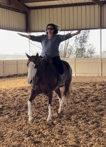 HorseID: 2321269 THIISCHICLOVESAGUN - PhotoID: 1108896