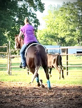 HorseID: 2321269 THIISCHICLOVESAGUN - PhotoID: 1108897