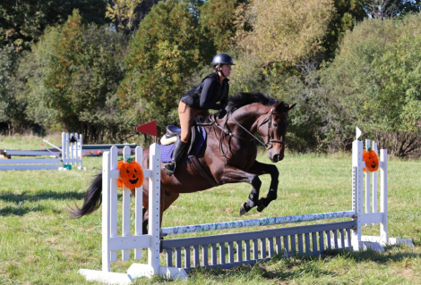 HorseID: 2321317 Morq - PhotoID: 1108955