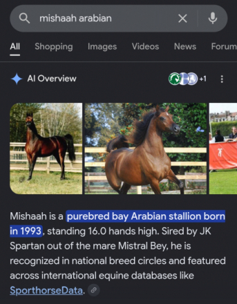HorseID: 2321322 Ladie Patina AF - PhotoID: 1108963