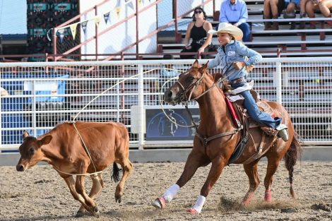 HorseID: 2321410 DCR Miss Reymantic - PhotoID: 1109118