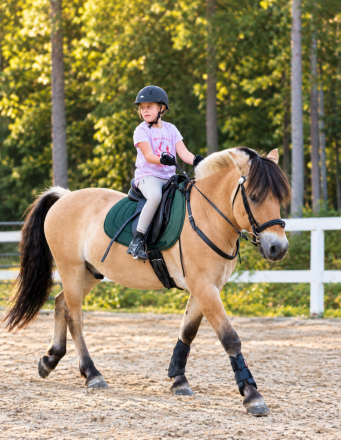 HorseID: 2321421 Gustav - PhotoID: 1109139