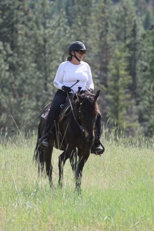 HorseID: 2321442 FBA ELEGANCE ORCHESTRATED - PhotoID: 1109147