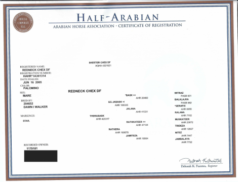 HorseID: 2238296 Redneck Chek DF (aka Summer Lace) - PhotoID: 1083945