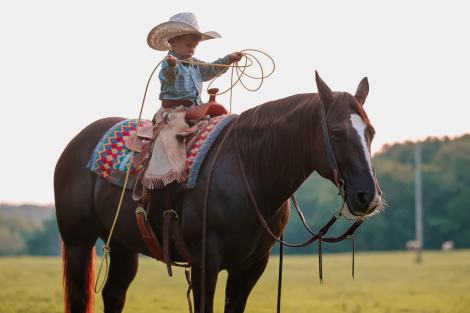 HorseID: 2246739 Smoke - PhotoID: 1045907