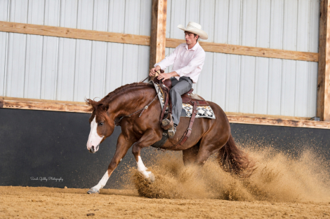 HorseID: 2249906 Dual Sixes - PhotoID: 1049438