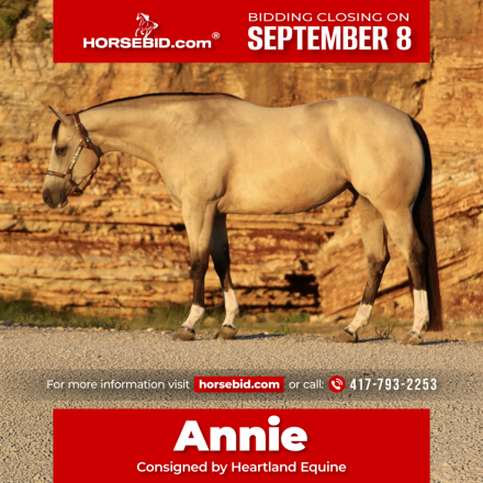 HorseID: 2271745 Annie - PhotoID: 1062968