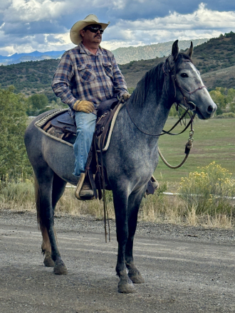 HorseID: 2282028 Jaunito Viento - PhotoID: 1066260