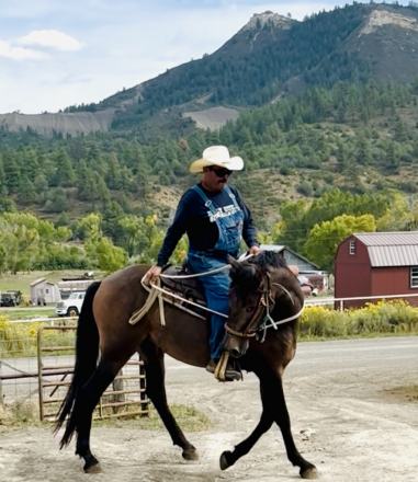 HorseID: 2282169 Ricardo Viento - PhotoID: 1066758