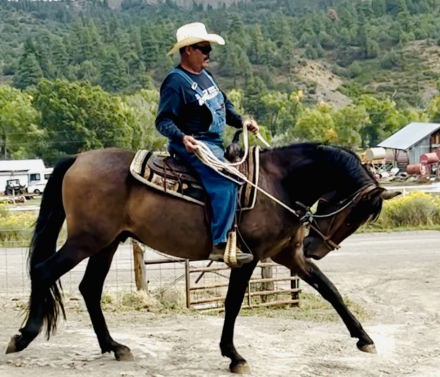 HorseID: 2282169 Ricardo Viento - PhotoID: 1066759