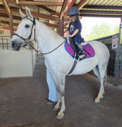 HorseID: 2283306 Kadencia do Summerwind - PhotoID: 1083287