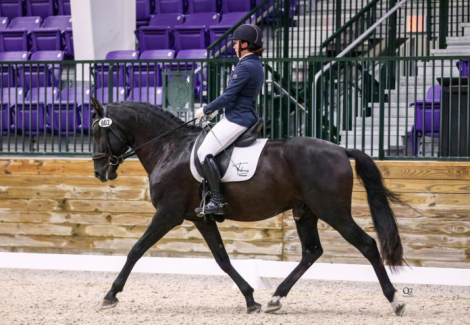 HorseID: 2285133 Indicado E.C - PhotoID: 1080076