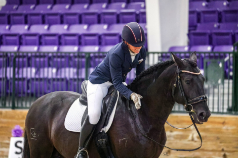 HorseID: 2285133 Indicado E.C - PhotoID: 1083254