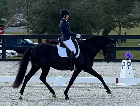 HorseID: 2285133 Indicado E.C - PhotoID: 1083255