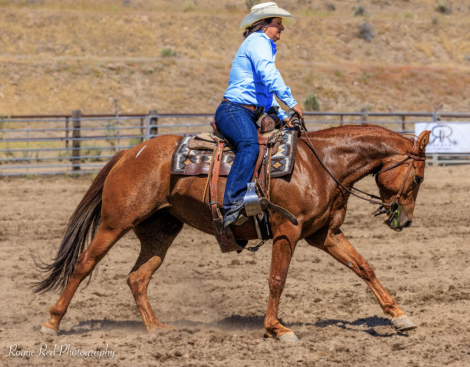 HorseID: 2285378 Wimpys Hydriven Cat - PhotoID: 1081286