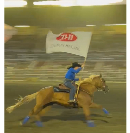 HorseID: 2285676 Button - PhotoID: 1084903