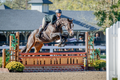 HorseID: 2285837 Bring it Home - PhotoID: 1084484