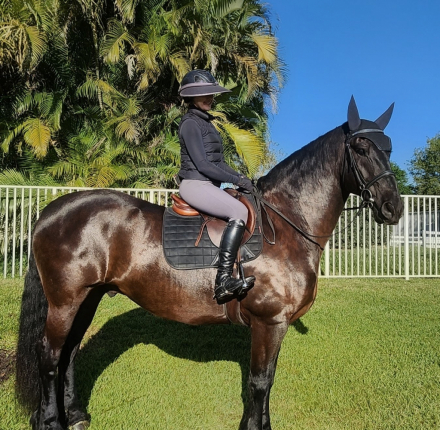 HorseID: 2288062 Remington Chayce - PhotoID: 1105777