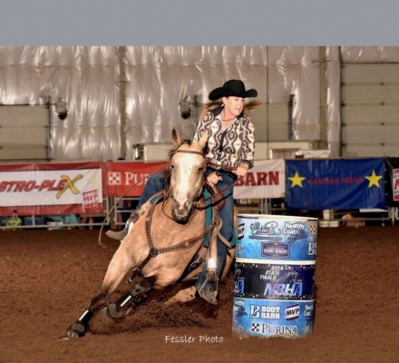 HorseID: 2289538 MH DUAL FROSTED CASH - PhotoID: 1084621