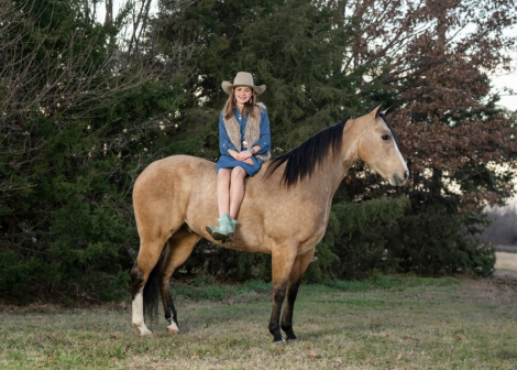 HorseID: 2289538 MH DUAL FROSTED CASH - PhotoID: 1084623