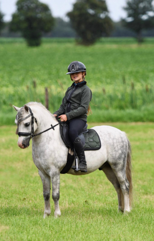 HorseID: 2289598 Spirit - PhotoID: 1067562