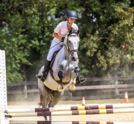 HorseID: 2291258 Monet - PhotoID: 1084495