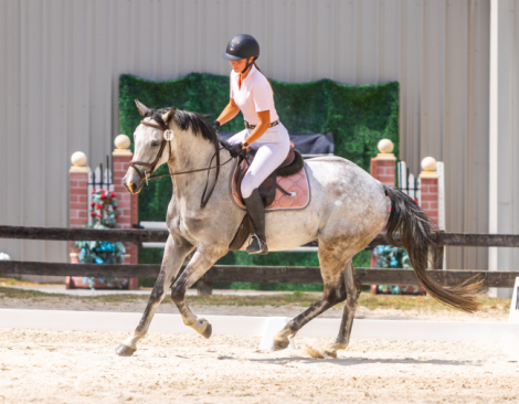 HorseID: 2291258 Monet - PhotoID: 1084496