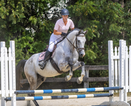 HorseID: 2291258 Monet - PhotoID: 1084498