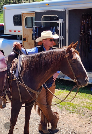 HorseID: 2292460 Pastels Play Smart - PhotoID: 1106822
