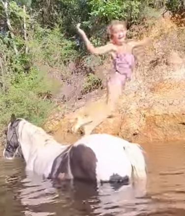 HorseID: 2292936 Mr. Stashly - PhotoID: 1085634