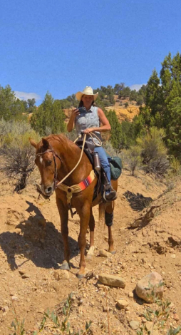 HorseID: 2293793 Playboy Red Oliver - PhotoID: 1084780