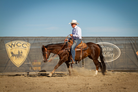 HorseID: 2296208 GOTTA MAGNUM DUNNIT - PhotoID: 1076346