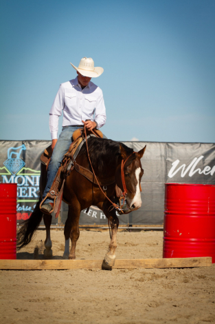 HorseID: 2296208 GOTTA MAGNUM DUNNIT - PhotoID: 1076347