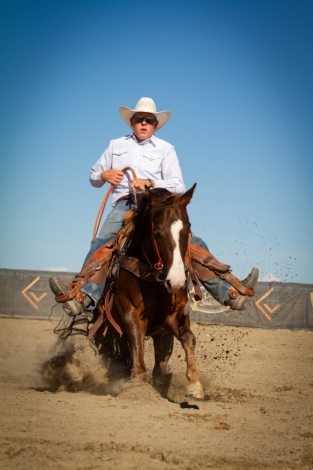 HorseID: 2296208 GOTTA MAGNUM DUNNIT - PhotoID: 1076348