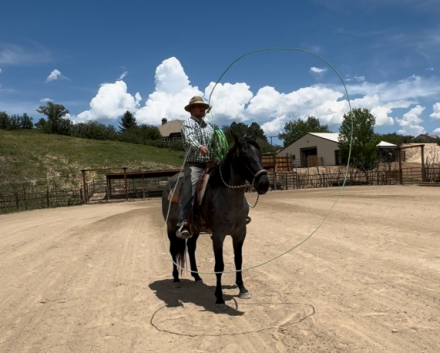 HorseID: 2296543 HH Blue Hayes - PhotoID: 1084803