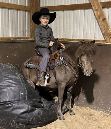 HorseID: 2297024 Midnight - PhotoID: 1077319