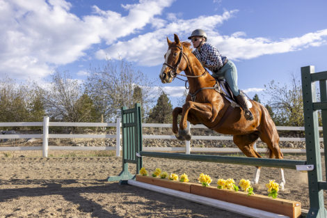 HorseID: 2298577 Slightly Dirty - PhotoID: 1082350