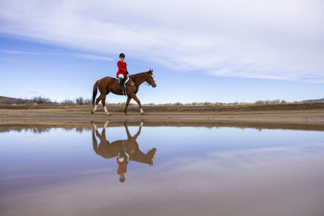 HorseID: 2298577 Slightly Dirty - PhotoID: 1082351