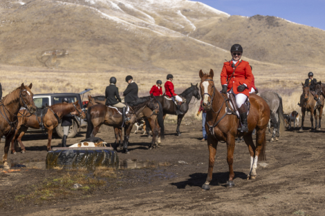 HorseID: 2298577 Slightly Dirty - PhotoID: 1082354