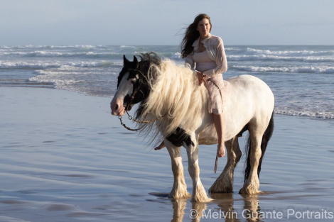 HorseID: 2298719 SD Double Stuff - PhotoID: 1084649