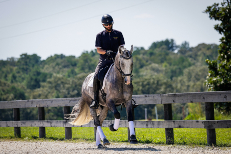 HorseID: 2298740 Magnus Murray McQuinton RR - PhotoID: 1079603