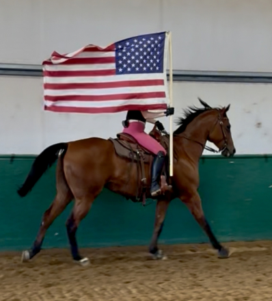 HorseID: 2299079 Artful Silhouette - PhotoID: 1080047