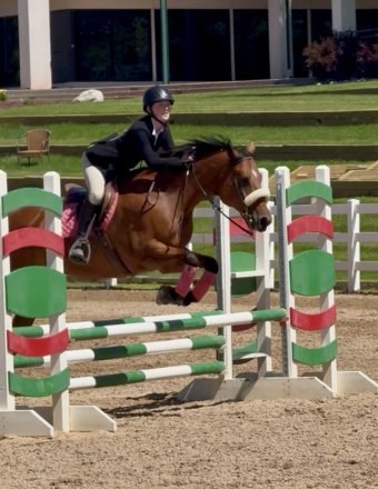 HorseID: 2299079 Artful Silhouette - PhotoID: 1080050