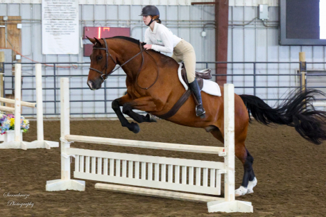 HorseID: 2299704 Command Ranger - PhotoID: 1084074