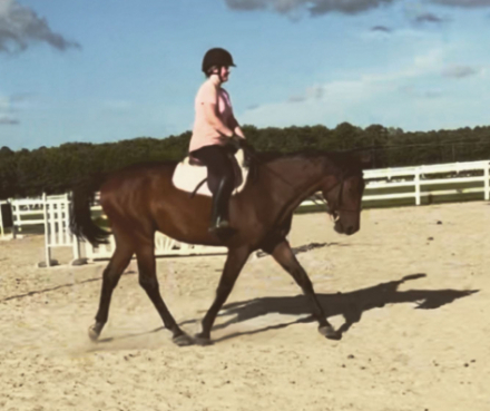 HorseID: 2299830 Promotion - PhotoID: 1084485