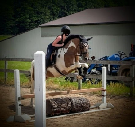 HorseID: 2299842 Johnny Be Good - PhotoID: 1081182