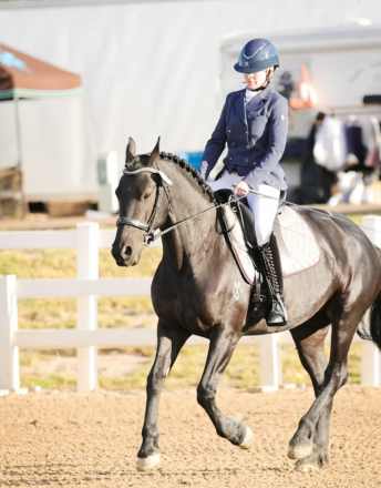 HorseID: 2299867 Freya (Triple F's Jax Ann) - PhotoID: 1081202