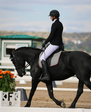 HorseID: 2299867 Freya (Triple F's Jax Ann) - PhotoID: 1081203