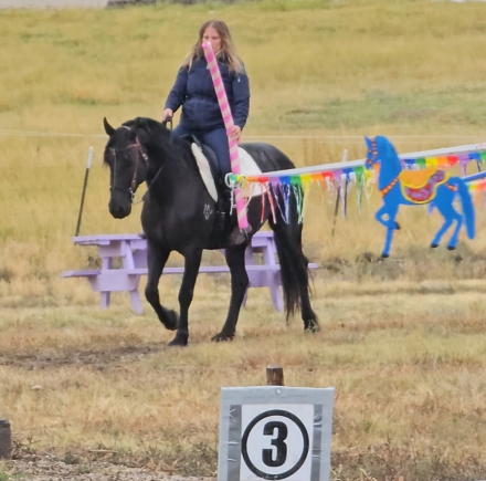 HorseID: 2299867 Freya (Triple F's Jax Ann) - PhotoID: 1081204